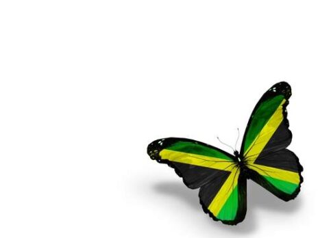 Alaric and Transcel target Jamaica's unbanked