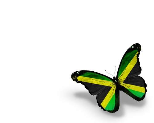 Alaric and Transcel target Jamaica's unbanked