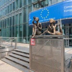EC approves digital wallet team-up in Spain