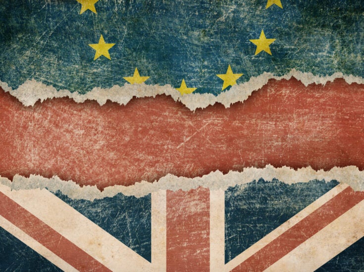 E-commerce and Brexit: what constitutes success in a crowded online marketplace?