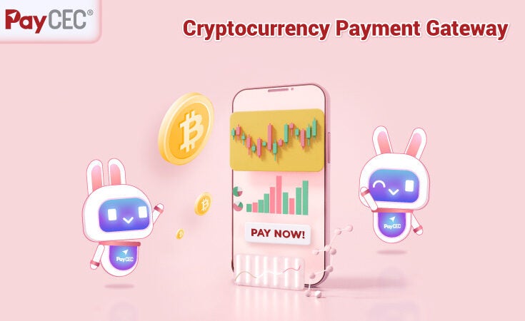 PayCEC launches cryptocurrency payment gateway and SEPA transfers acceptance