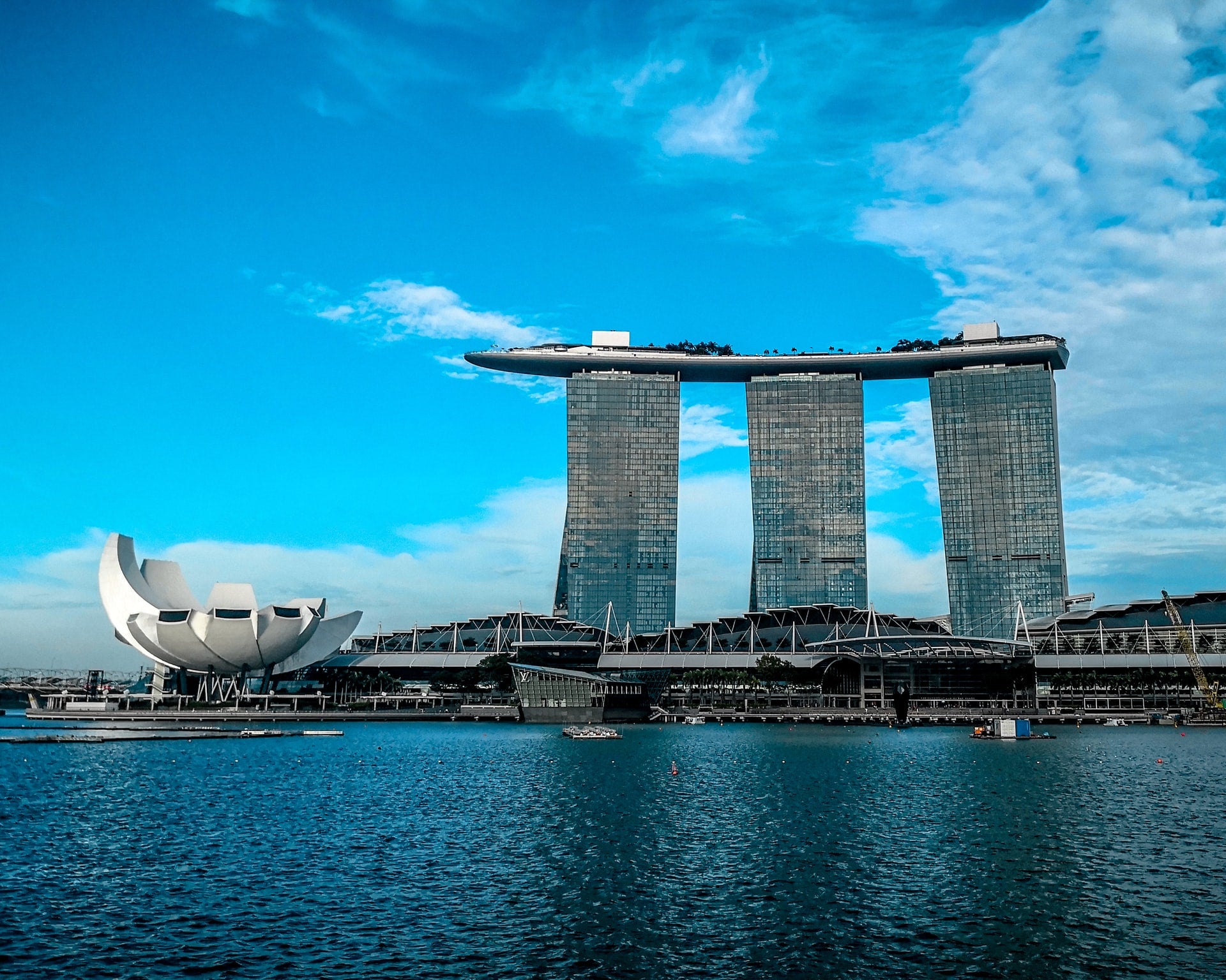 Paxos gets nod for digital payments token services in Singapore